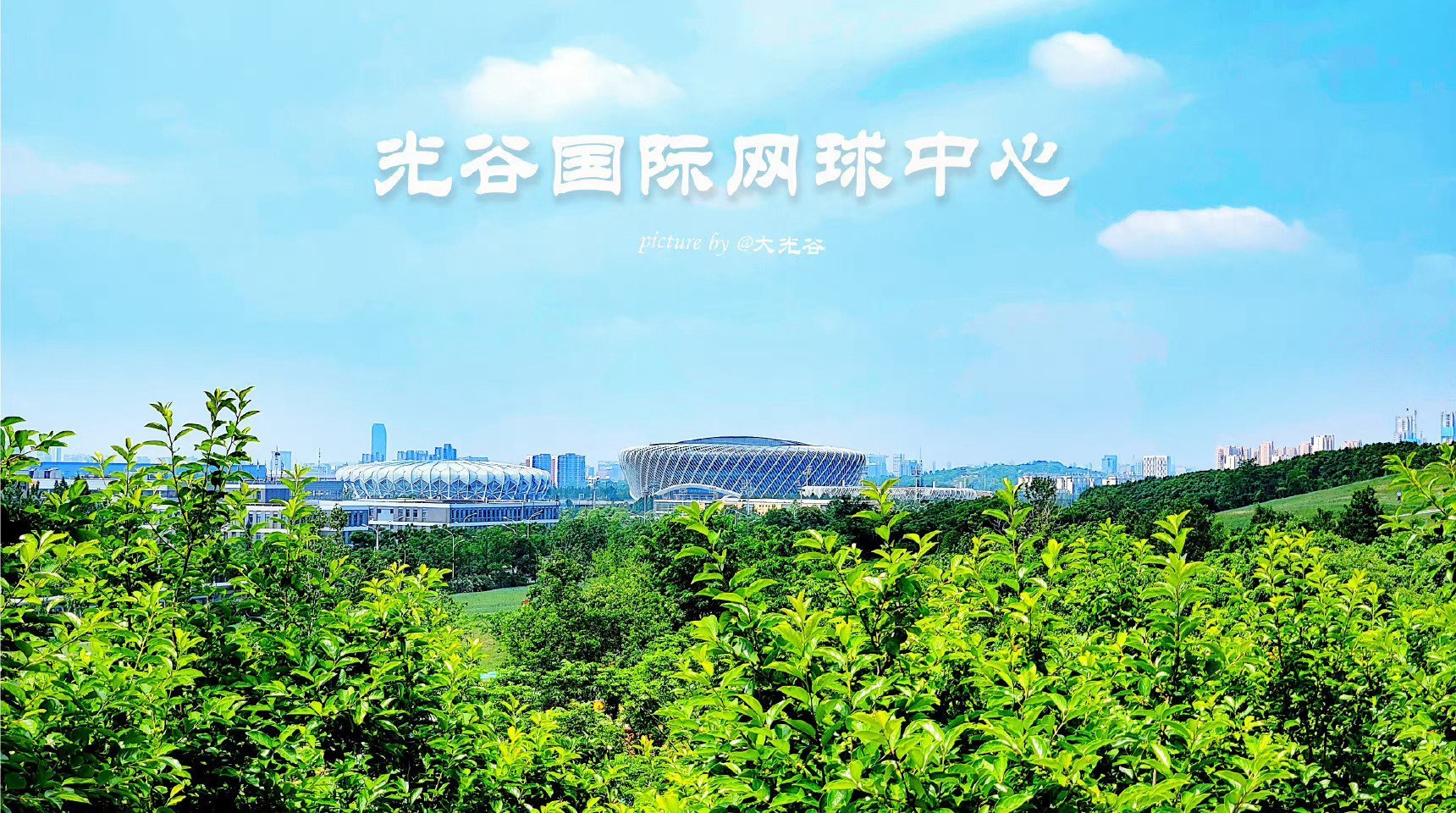 网球邀请赛,岭南海豚队与关东铁骑队大胜,阵地战处理得当!临场应变见真章(南海十三郎) 网球邀请赛,岭南海豚队与关东铁骑队大胜,阵地战处理得当!临场应变见真章(南海十三郎)